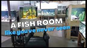 Fish Room Tour - Giant Tanks, Rare Fish, and one Extraordinary Hobby