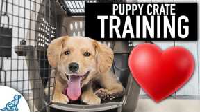 Crate Training Doesn't Need To Be Stressful!