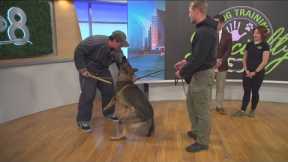 Specialty Dog Training showing tip and trips to get your pooch to obey