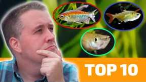 Top 10 Aquarium Fish That LOVE Hard Water