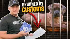 My New Puppy Was DETAINED by U.S. Customs