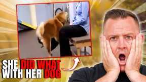 Expert Dog Trainer Breaks Down the Most INSANE Dog Videos on the Internet
