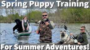 Spring Puppy Training For Summer Dog Adventures!
