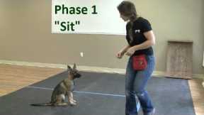 How to Train a Dog to Sit (K9-1.com)