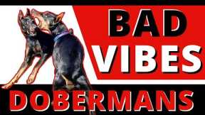 Menacing Doberman bullies & harasses all my dogs - Can I help a dog left in the backyard for 2 years