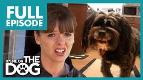 'Shark Dog' Is Ruining Owner's Love Life! | Full Episode USA