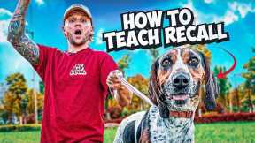 The best recall training for your dog!