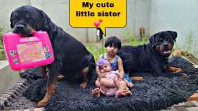 Cute babies playing with dogs | rottweiler dog | dog and baby | #funnyvideo #dog