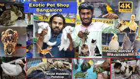 Royal Hobbies Petshop Exotic Pets Cats ,Dogs , Tegu, Rabbits, Guinea Pig,Hamsters & Exotic Birds