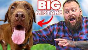 Dog Training Mistakes Trainers Refuse To Talk About