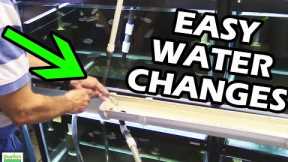 How To Do Water Changes in your Aquarium Fish Room. Gary Don't Carry