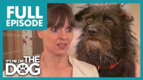 Dog Turns Owner's Bedroom into his Bathroom | Full Episode USA