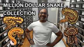 MILLION DOLLAR SNAKE COLLECTION! FACILITY TOUR! OZZY BOIDS! #reptiles #ballpython #pets #snake