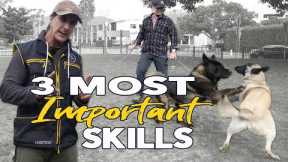 3 Most Important Commands to Teach  Your Dog