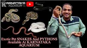 Exotic Pet SNAKES And PYTHONS Available At KARNATAKA AQUARIUM | Ball Python | King Snake | #reptile