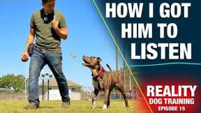 How to Train the MOST IMPORTANT Thing to Any Dog [REALITY DOG TRAINING EP: 15]