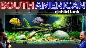 The South American Cichlid Aquarium: EPIC 4ft Planted Tank Aquascape Tutorial