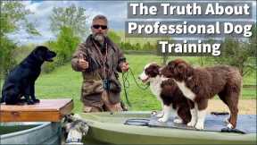 The Truth About Dog Training - Are Board & Train Programs Effective?