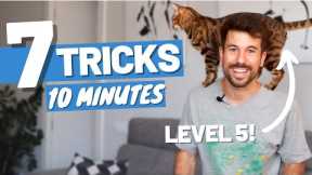 Learn 7 CAT TRICKS in 10 minutes - Easy to Teach Clicker Training