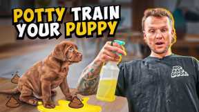 How To Potty Train A PUPPY In 5 Minutes! QUICKEST RESULTS To Train Your PUPPY!