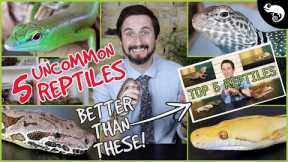 Top 5 UNCOMMON Reptiles For Beginners