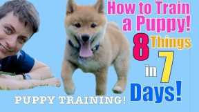 How to Train Your Puppy 8 Things in 7 Days! (STOP Puppy Biting, Come, Stay... )