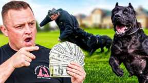 CAN YOU OUTRUN AN ATTACK DOG FOR CASH?!