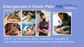 Emergencies in Rabbits, Reptiles, Birds, Ferrets, and other Exotic Pets with Dr. La'Toya Latney