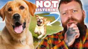 How To Train A Dog That Won't Listen To You