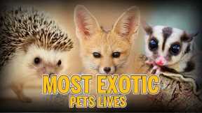 Most EXOTIC PETS LIVES
