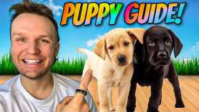 The FIRST 5 Things To Teach Any Puppy! How To Train Your Puppy Blueprint!