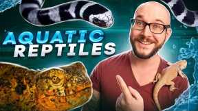 Top 5 BEST Pet Aquatic Reptiles