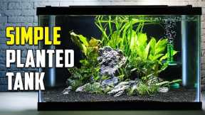 How To Build A Beautiful Planted Tank For Fish (Easy)