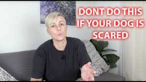 DON'T DO THIS if your dog is SCARED - professional dog training