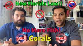 🚨Emergency🚨Florida Banning Aquarium Fish!!!!!