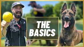 EASY OBEDIENCE TRAINING MADE FUN WITH MY BELGIAN MALINOIS!