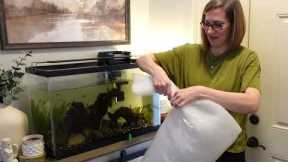 Fish Tank Maintenance | Aquarium Cleaning | Water Changes On My Fish Tanks