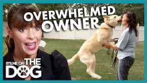 Overwhelmed Owner is Making Dog's Behavior WORSE! | It's Me or The Dog