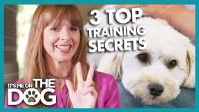 Victoria Stilwell Reveals 3 Secret Dog Training Tips! | It's Me or The Dog