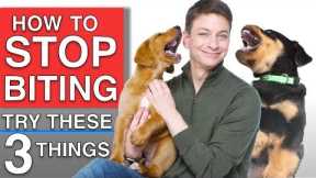 How To Train Your Puppy to STOP BITING You! 3 Proven Techniques That WILL Work!