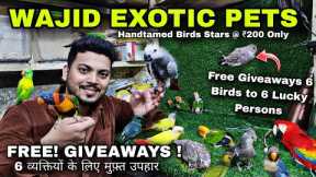 Wajid Exotic Pets Mumbai | Hand Tamed Birds | Hamsters | Rabbits & Iguanas , FREE Birds Giveaways