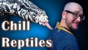 Top 5 Chill, Easy Handling Reptiles