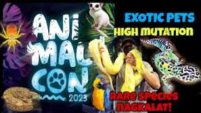 ANIMALCON 2023|EXOTIC PETS AND REPTILES|HIGH MUTATION|RARE SPECIES GRABE ANG DAMING NAGKALAT!!😱😱😱