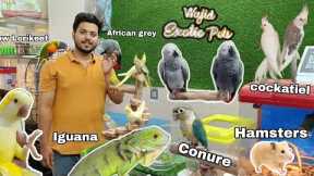 Wajid Exotic Pet's Jogeshwari west