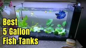 Best 5 Gallon Aquarium Fish Tanks | Setup ideas & Review