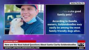 Santa Clarita Goldendoodle Puppies For Sale - Goldendoodle Information
