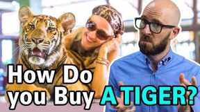How are Rich People Able to Buy Exotic Pets Like Tigers?
