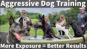 Aggressive Dog Training | More Exposure (Training Volume) Equals Better Results