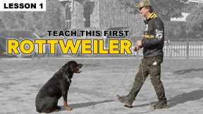 First Things to Teach Your Rottweiler - Dog Training