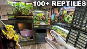 REPTILE ROOM TOUR JULY 2023!! 100+ REPTILES in one room!